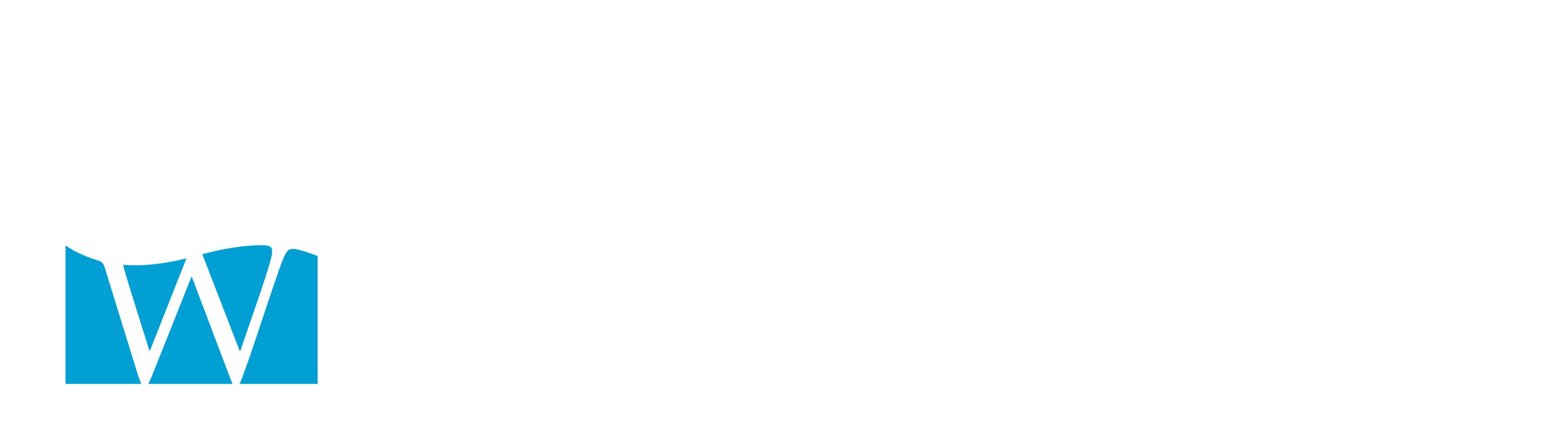 BLUWATER_TM logo